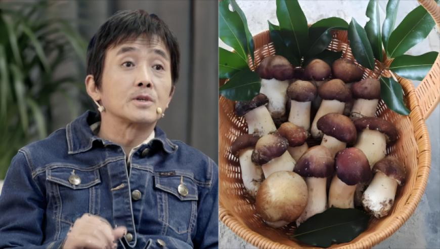 鸡妈妈宿醉酒醒后错把18只鸡仔当娃,正版资料免费资料大全网站,全面解答解释落实_完整版V11.63