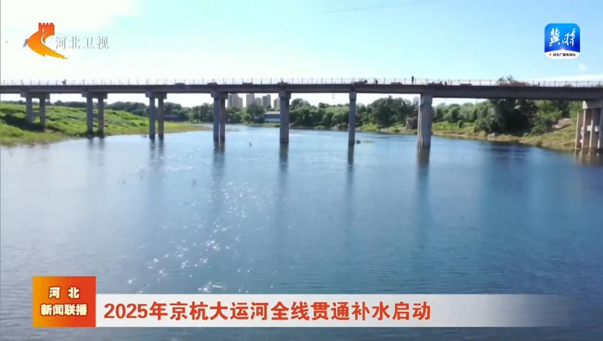 王楚钦锡纸烫发型,新澳门资料大全正版资料2025年免费下载新澳,前瞻性战略落实探讨_豪华版V15.70