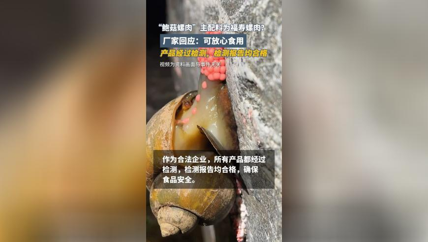 TCL智家2024年净利10.19亿,4119cc天空彩论坛使用方法,最新答案解释落实_iosV5.52