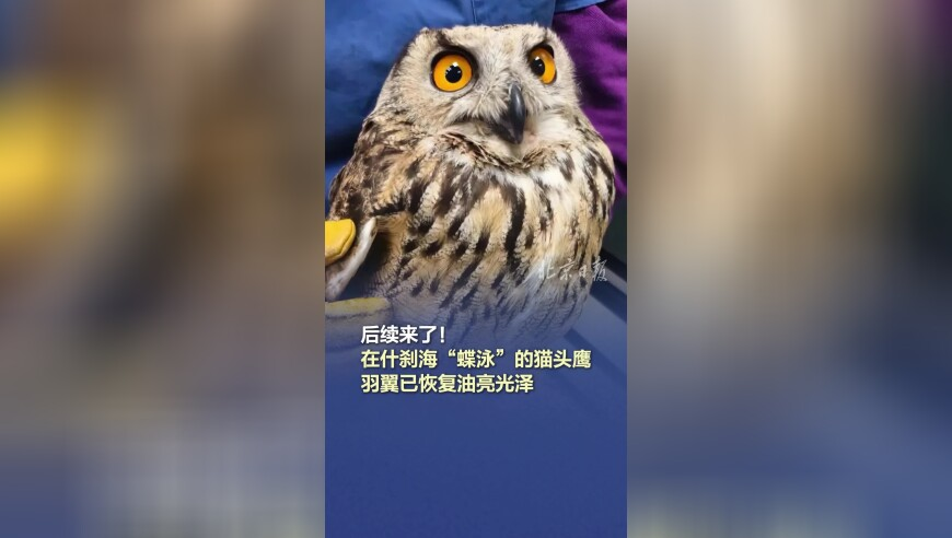 246二四六资料大全26,华为Pura80“鬼才设计图”曝光,典故解疑_VR版V12.81