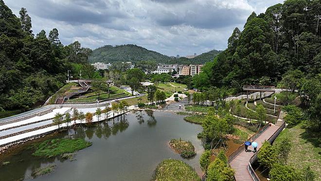 揭秘A股跳水原因：深度解析与市场展望